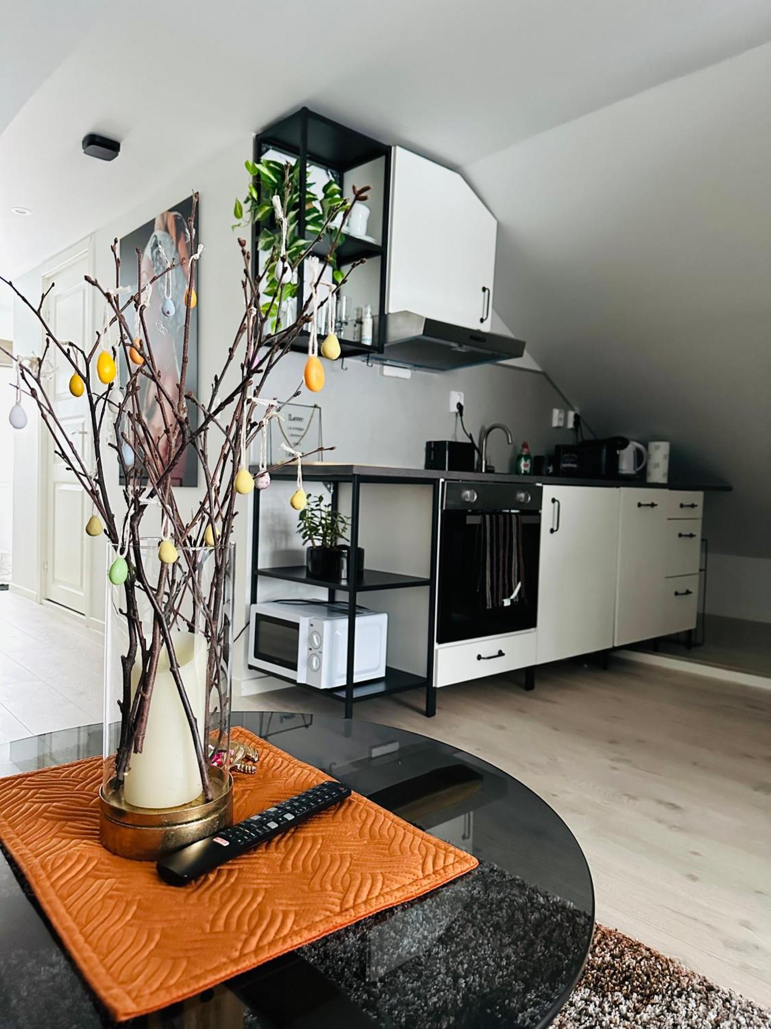 דירות Skjervoy Arctic Loft מראה חיצוני תמונה