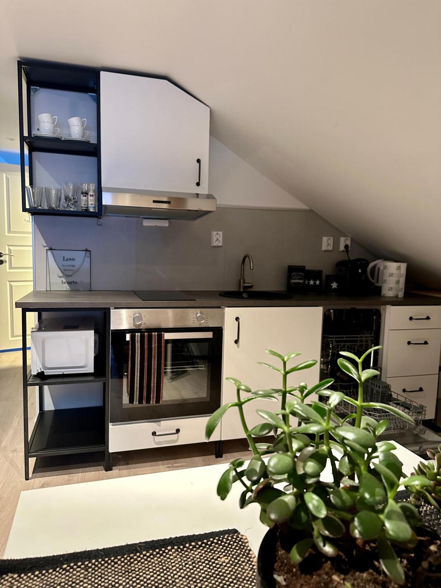 דירות Skjervoy Arctic Loft מראה חיצוני תמונה